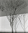 elevation12_26_09