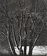 elevation1_12_18