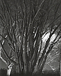 elevation1_7_07