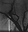elevation2_19_08