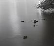 floodlit11_5_00