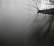 floodlit1_26_99