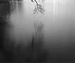 floodlit1_30_99