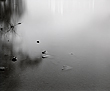 floodlit3_28_00