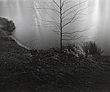 floodlit3_4_99