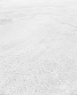 clearing_11