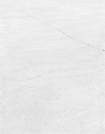 clearing_6
