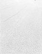 clearing_9