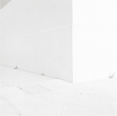 document_8