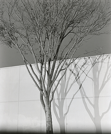 elevation12_26_09