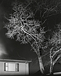 elevation12_8_09
