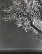 elevation1_15_09
