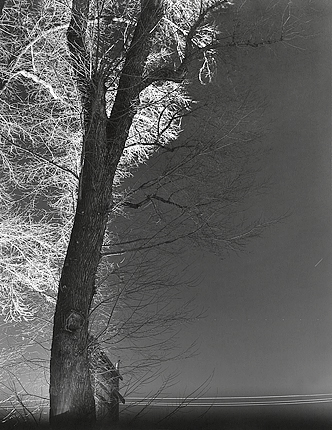 elevation1_19_09