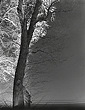 elevation1_19_09
