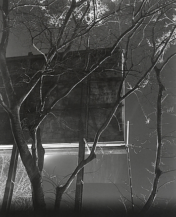 elevation1_23_09