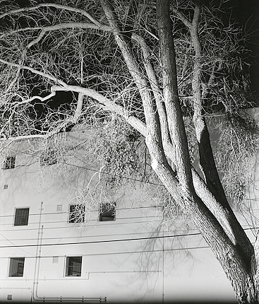 elevation1_25_10