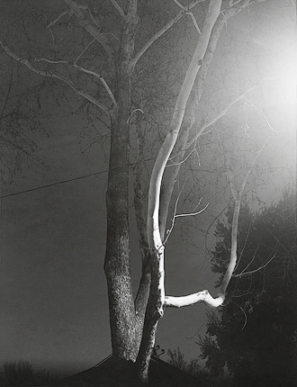 elevation1_2_08