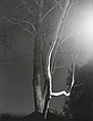 elevation1_2_08