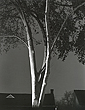 elevation1_6_09