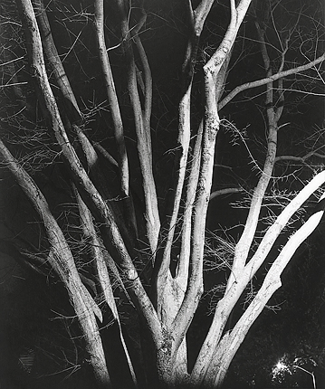 elevation2_4_08