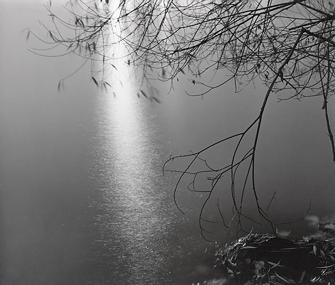 floodlit11_29_00