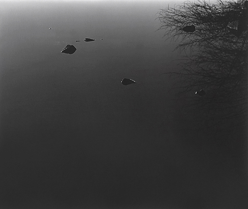 floodlit2_12_01