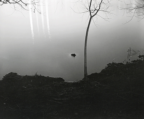 floodlit3_13_01