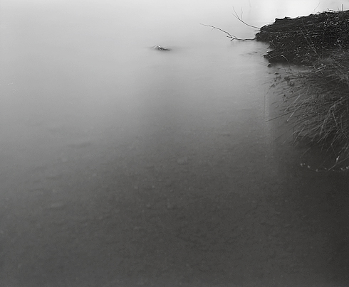 floodlit3_26_02