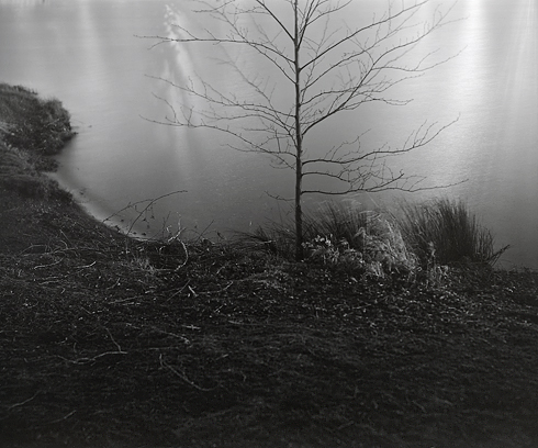 floodlit3_4_99