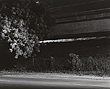 witness10_6_05