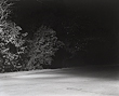 witness1_11_07